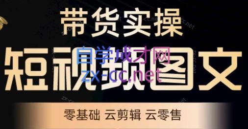 鑫哥·2024零基础短视频带货实操营-指尖网