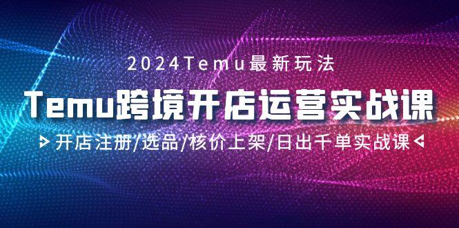 2024Temu跨境开店运营实战课，开店注册/选品/核价上架/日出千单实战课-指尖网