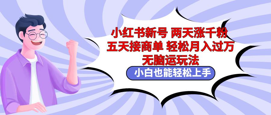 小红书新号两天涨千粉五天接商单轻松月入过万 无脑搬运玩法 小白也能轻...-指尖网