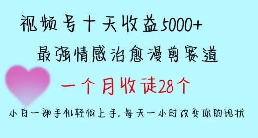 十天收益5000+，多平台捞金，视频号情感治愈漫剪，一个月收徒28个，小白一部手机轻松上手【揭秘】-指尖网