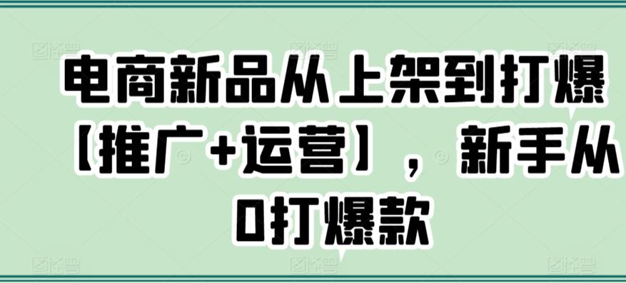 电商新品从上架到打爆【推广+运营】，新手从0打爆款-指尖网