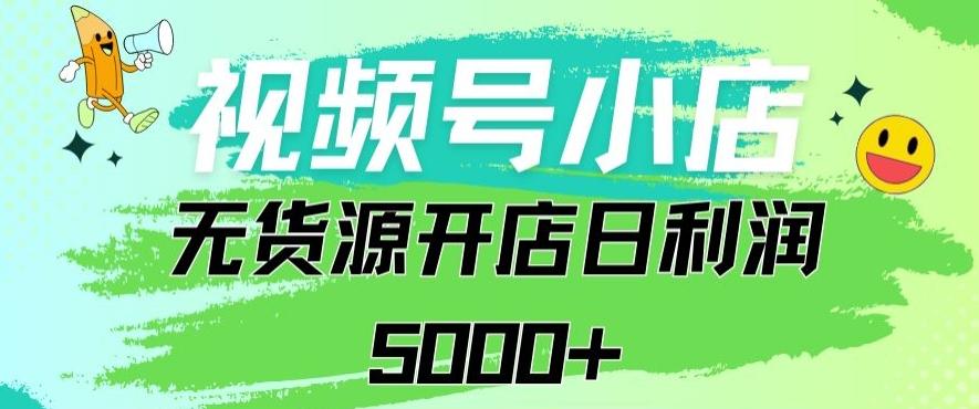 视频号无货源小店从0到1日订单量千单以上纯利润稳稳5000+【揭秘】-指尖网