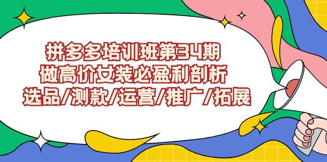 (9333期)拼多多培训班第34期：做高价女装必盈利剖析  选品/测款/运营/推广/拓展-指尖网