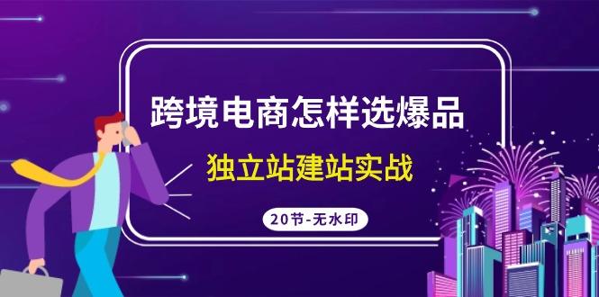 (9369期)跨境电商怎样选爆品，独立站建站实战(20节高清无水印课)-指尖网