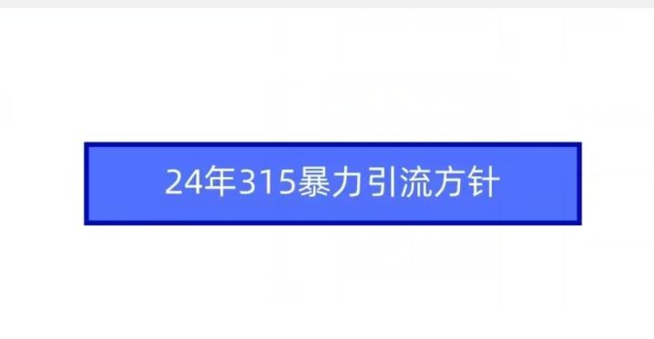 24年315暴力引流方针-指尖网