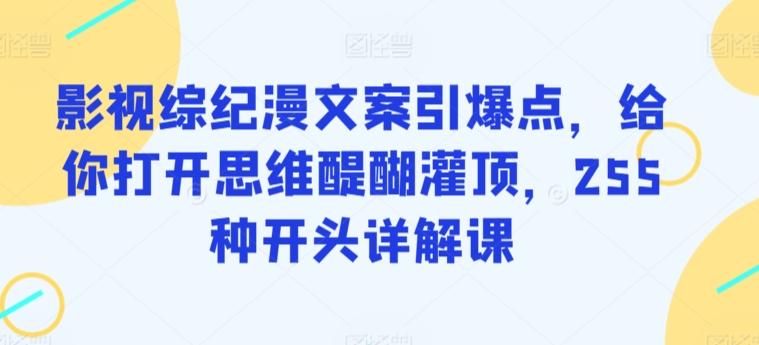 影视综纪漫文案引爆点，给你打开思维醍醐灌顶，255种开头详解课-指尖网