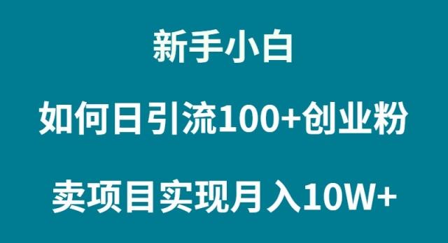 (9556期)新手小白如何通过卖项目实现月入10W+-指尖网