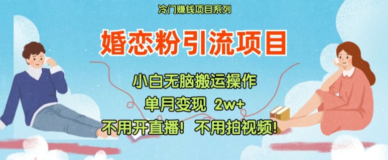 小红书婚恋粉引流，不用开直播，不用拍视频，不用做交付【揭秘】-指尖网