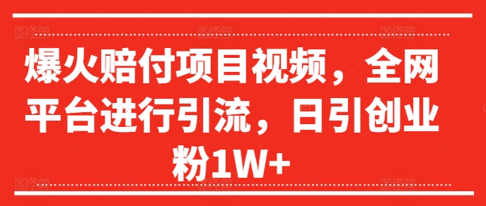 爆火赔付项目视频，全网平台进行引流，日引创业粉1W+【揭秘】-指尖网