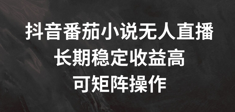 抖音番茄小说无人直播，长期稳定收益高，可矩阵操作【揭秘】-指尖网