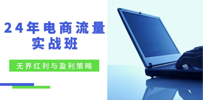 24年电商流量实战班：无界 红利与盈利策略，终极提升/关键词优化/精准...-指尖网