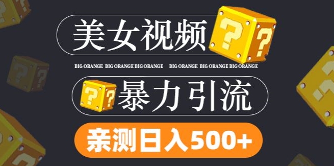 搬运tk美女视频全网分发，日引s粉300+，轻松变现，不限流量不封号【揭秘】-指尖网