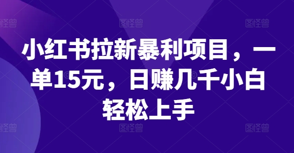 小红书拉新暴利项目，一单15元，日赚几千小白轻松上手【揭秘】-指尖网