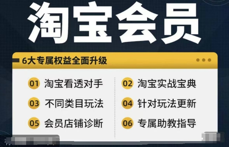 淘宝会员【淘宝所有课程，全面分析对手】，初级到高手全系实战宝典-指尖网