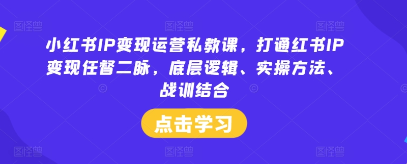 小红书IP变现运营私教课，打通红书IP变现任督二脉，底层逻辑、实操方法、战训结合-指尖网