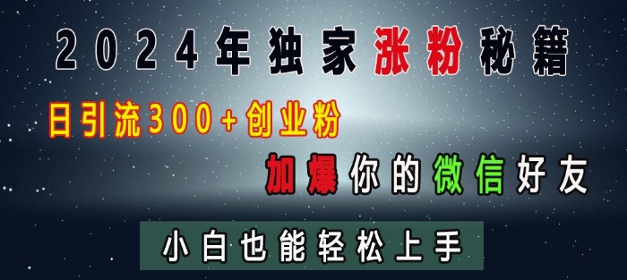 2024年独家涨粉秘籍，日引流300+创业粉，加爆你的微信好友，小白也能轻松上手-指尖网