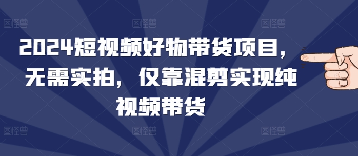 2024短视频好物带货项目，无需实拍，仅靠混剪实现纯视频带货-指尖网