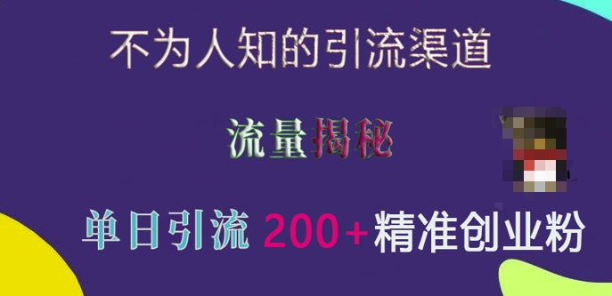 不为人知的引流渠道，流量揭秘，实测单日引流200+精准创业粉【揭秘】-指尖网