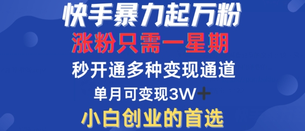 快手暴力起万粉，涨粉只需一星期，多种变现模式，直接秒开万合，单月变现过W【揭秘】-指尖网