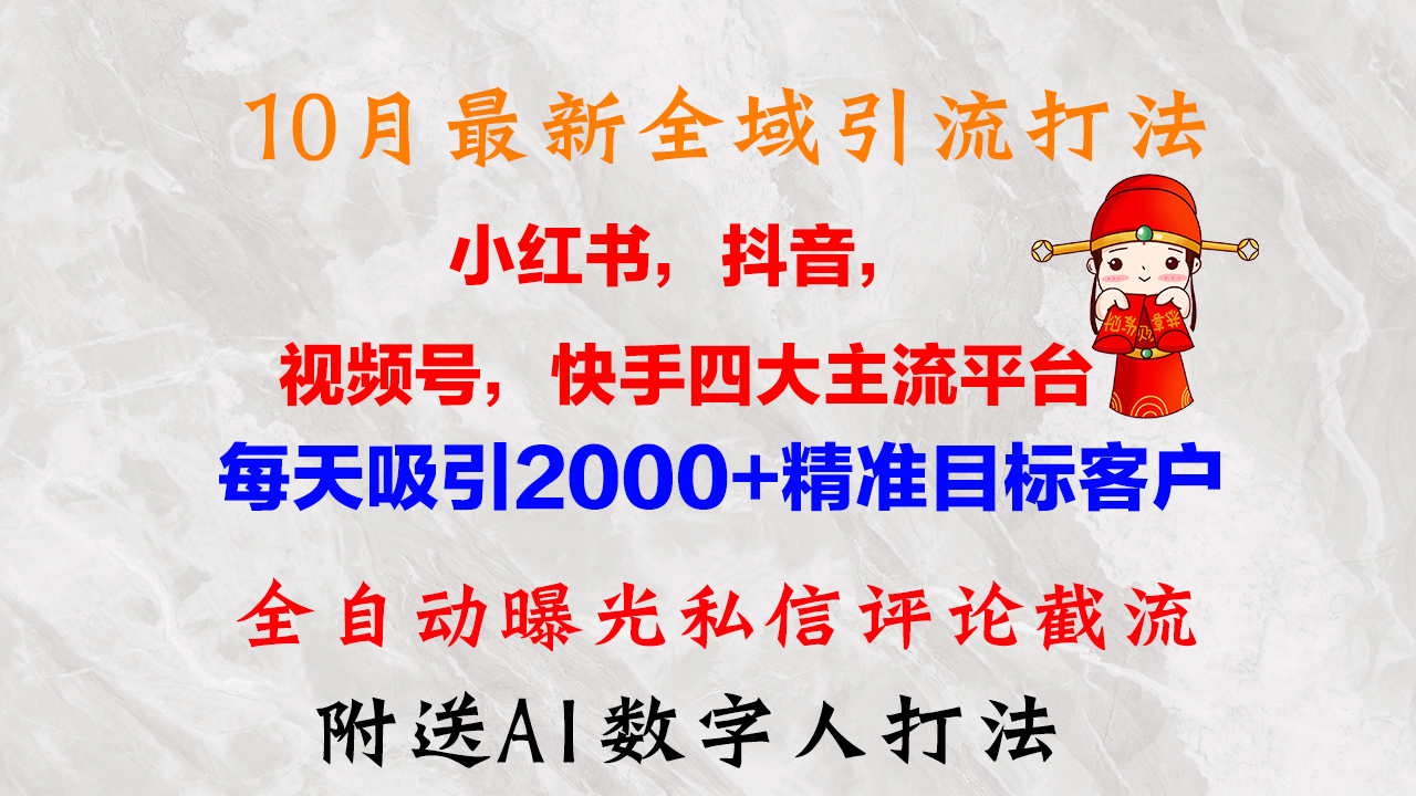 10月最新小红书，抖音，视频号，快手四大平台全域引流，，每天吸引2000...-指尖网