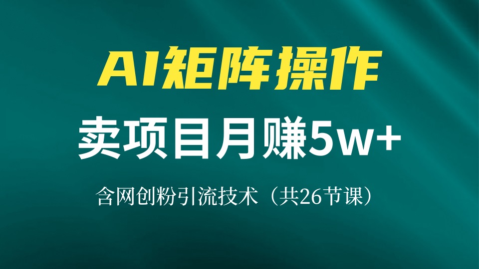 网创IP打造课，借助AI卖项目月赚5万+，含引流技术(共26节课-指尖网