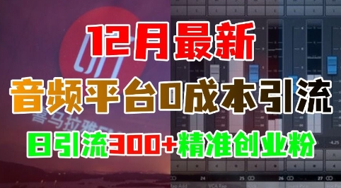 12月最新：音频平台0成本引流，日引流300+精准创业粉-指尖网