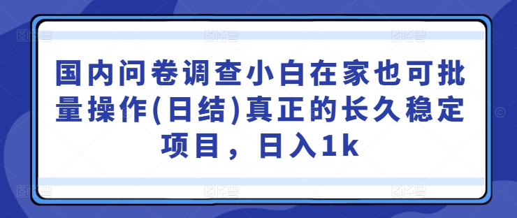 国内问卷调查小白在家也可批量操作(日结)真正的长久稳定项目，日入1k【揭秘】-指尖网