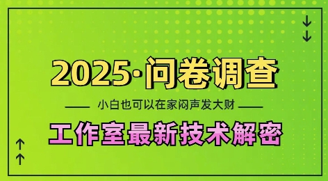 2025问卷调查最新工作室技术解密：一个人在家也可以闷声发大财，小白一天2张，可矩阵放大【揭秘】-指尖网