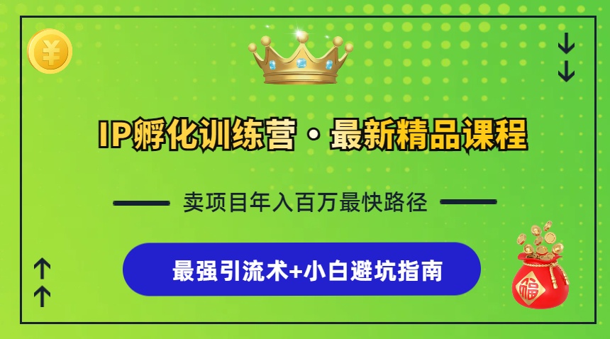 IP孵化训练营，知识付费全流程+最强引流术+小白避坑指南-指尖网