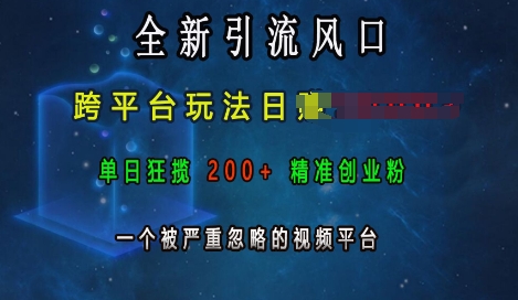 全新引流风口，跨平台玩法日入上k，单日狂揽200+精准创业粉，一个被严重忽略的视频平台-指尖网