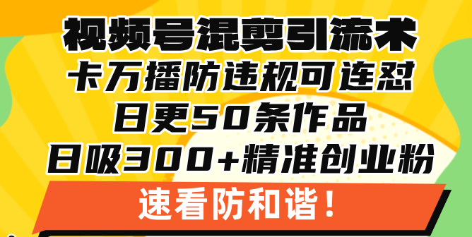 视频号混剪引流技术，500万播放引流17000创业粉，操作简单当天学会-指尖网