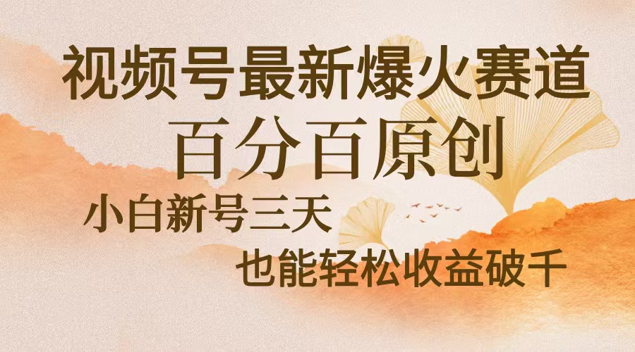 视频号最新爆火赛道，中老年粉深信不疑，百分百原创，新号三天收益轻松...-指尖网