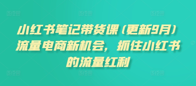 小红书笔记带货课(更新9月)流量电商新机会，抓住小红书的流量红利-指尖网