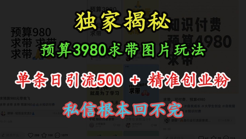 预算3980求带 图片玩法，单条日引流500+精准创业粉，私信根本回不完-指尖网