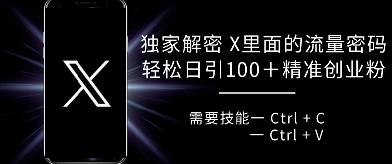 独家解密 X 里面的流量密码，复制粘贴轻松日引100+-指尖网