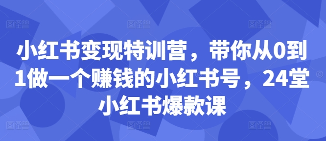 小红书变现特训营，带你从0到1做一个赚钱的小红书号，24堂小红书爆款课-指尖网