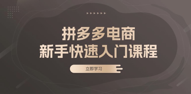 拼多多电商新手快速入门课程：涵盖基础、实战与选款，助力小白轻松上手-指尖网