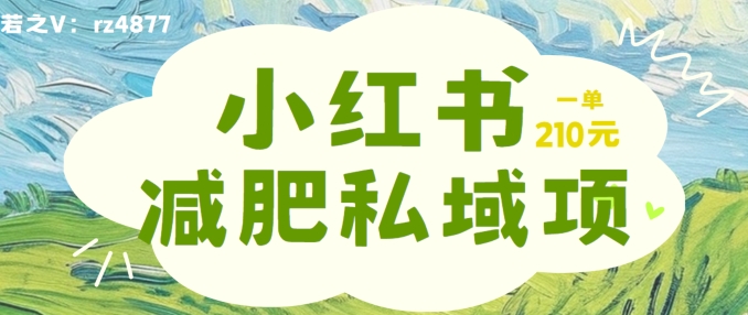 小红书减肥粉，私域变现项目，一单就达210元，小白也能轻松上手【揭秘】-指尖网