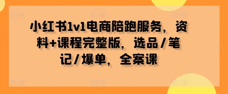 小红书1v1电商陪跑服务，资料+课程完整版，选品/笔记/爆单，全案课-指尖网