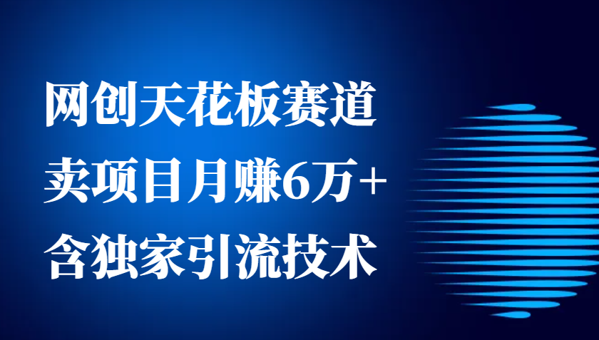 网创天花板赛道，卖项目月赚6万+，含独家引流技术(共26节课)-指尖网