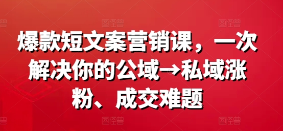 爆款短文案营销课，一次解决你的公域→私域涨粉、成交难题-指尖网