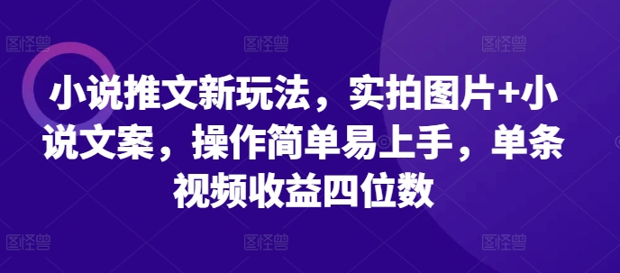 小说推文新玩法，实拍图片+小说文案，操作简单易上手，单条视频收益四位数-指尖网