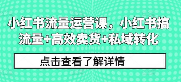 小红书流量运营课，小红书搞流量+高效卖货+私域转化-指尖网