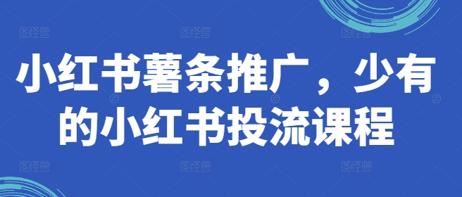 小红书薯条推广，少有的小红书投流课程-指尖网