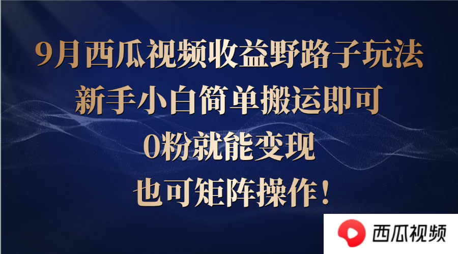 西瓜视频收益野路子玩法，新手小白简单搬运即可，0粉就能变现，也可矩...-指尖网