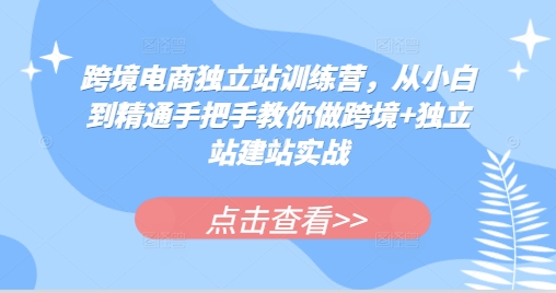 跨境电商独立站训练营，从小白到精通手把手教你做跨境+独立站建站实战-指尖网