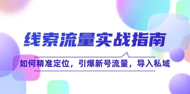 线 索 流 量-实战指南：如何精准定位，引爆新号流量，导入私域-指尖网