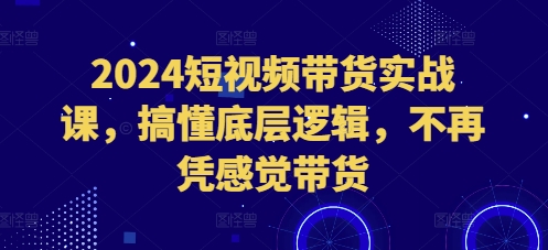 2024短视频带货实战课，搞懂底层逻辑，不再凭感觉带货-指尖网