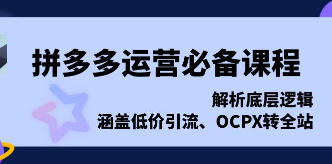 拼多多运营必备课程，解析底层逻辑，涵盖低价引流、OCPX转全站-指尖网