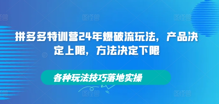 拼多多特训营24年爆破流玩法，产品决定上限，方法决定下限，各种玩法技巧落地实操-指尖网